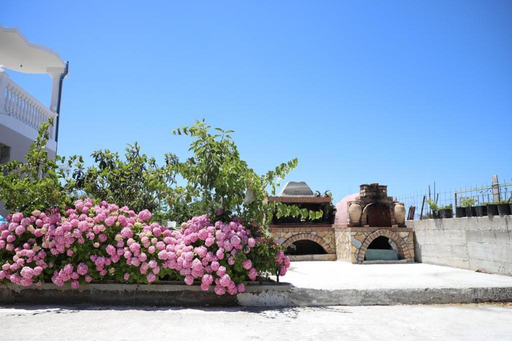 Narta Alloggio in famiglia Vlorë